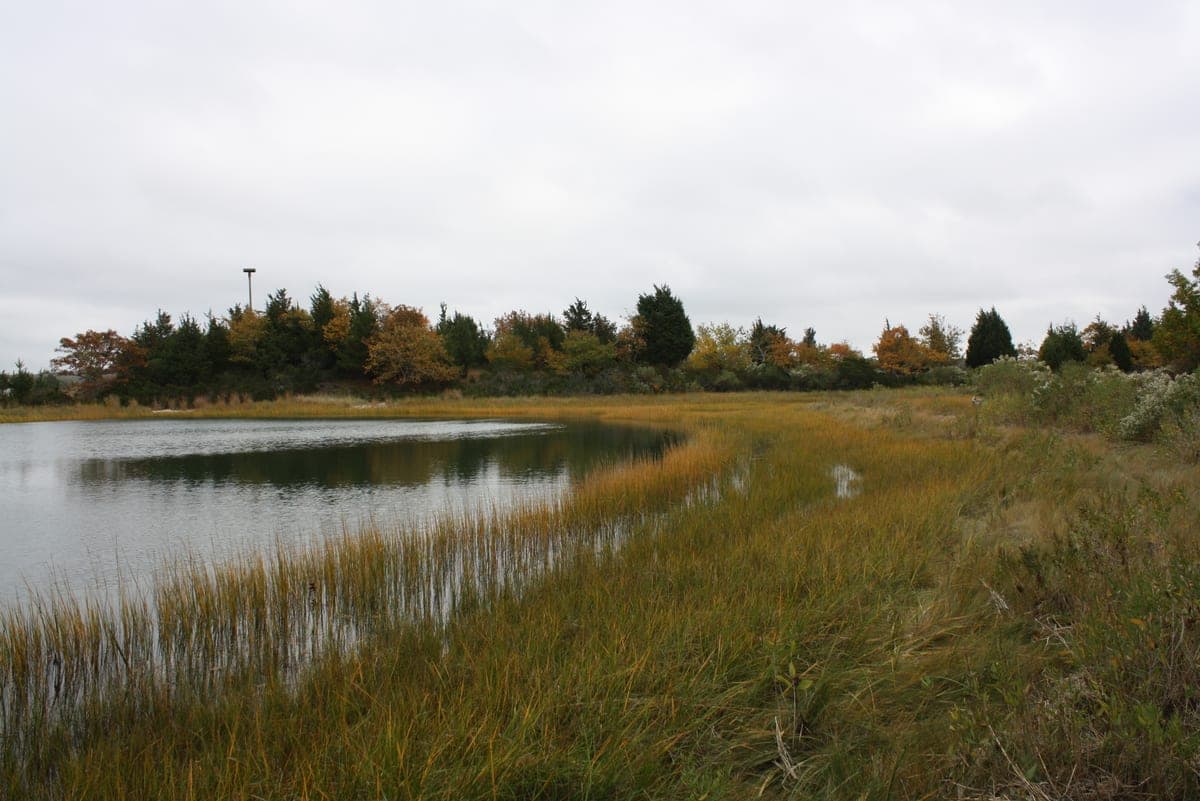 Conscience Point National Wildlife Refuge (landing site) in North Sea