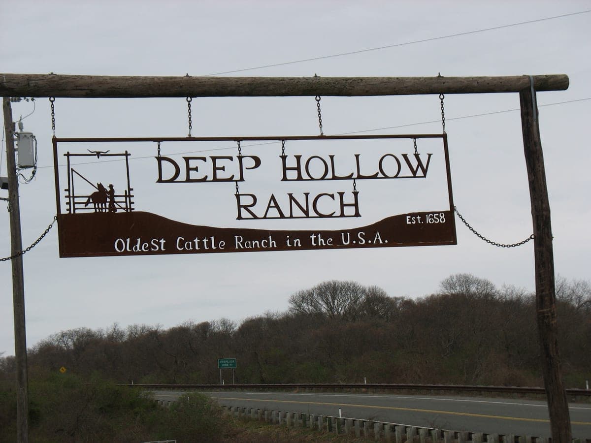 Deep Hollow Ranch — Montauk Beach Rides