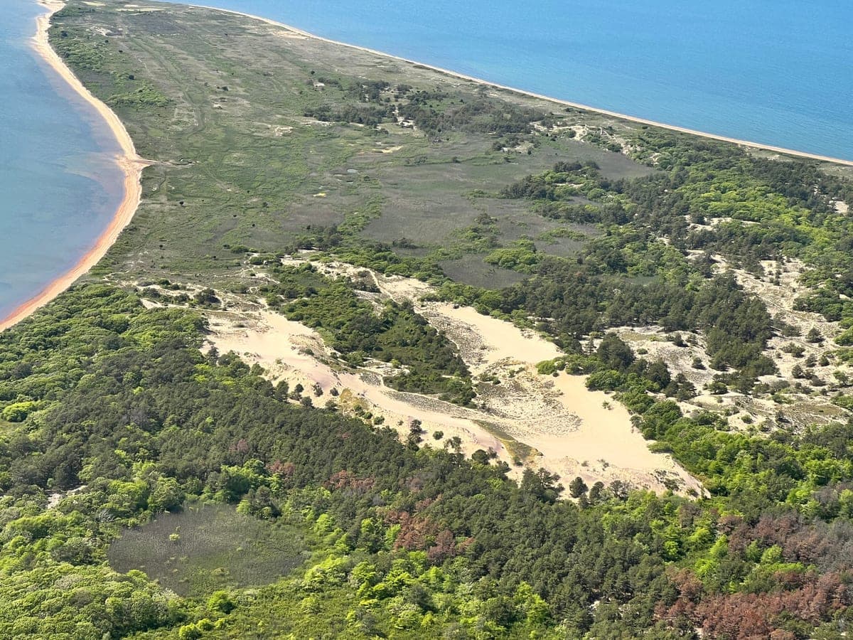 The Walking Dunes seen from the air — a pale sand blowout advancing through pitch pine and oak, with Napeague Harbor and the ocean beyond.