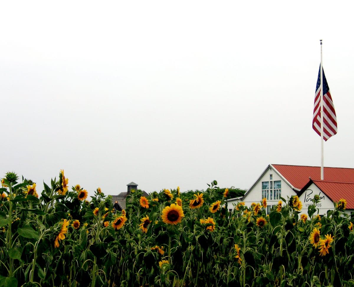 Pindar Vineyards in Peconic
